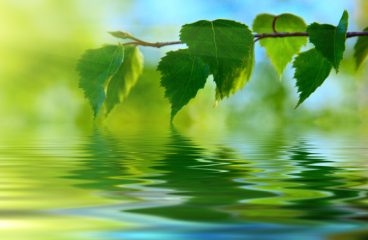 Violences faites aux femmes